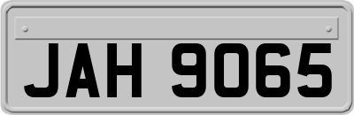 JAH9065