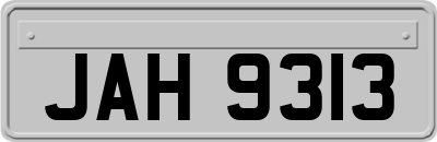 JAH9313