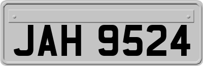 JAH9524
