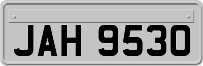 JAH9530