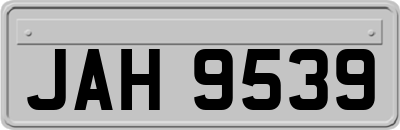 JAH9539