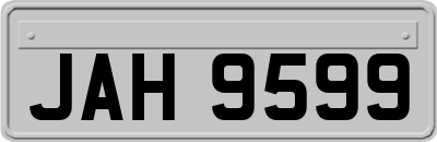 JAH9599