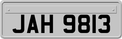 JAH9813