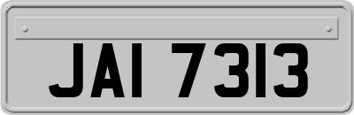 JAI7313