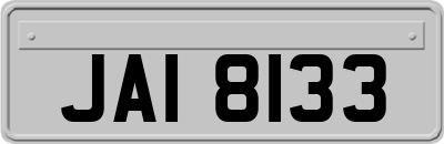 JAI8133
