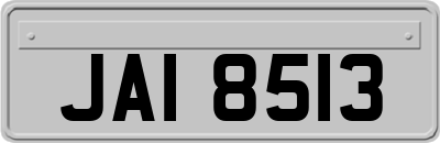 JAI8513