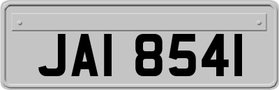 JAI8541