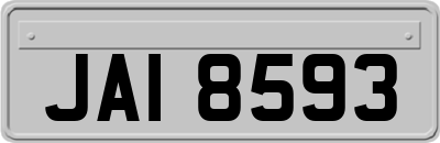 JAI8593