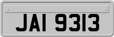 JAI9313