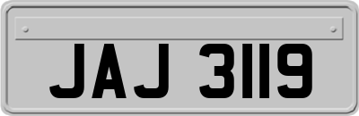 JAJ3119