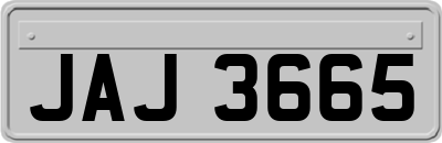 JAJ3665