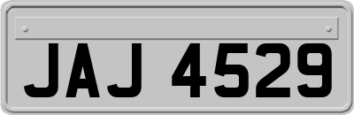 JAJ4529