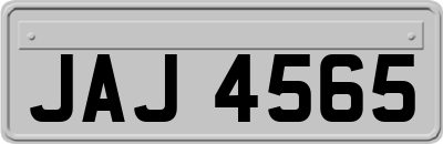 JAJ4565
