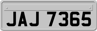 JAJ7365