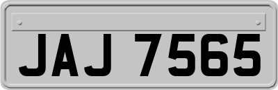 JAJ7565
