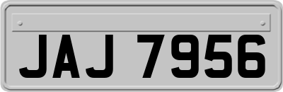 JAJ7956