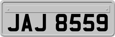JAJ8559