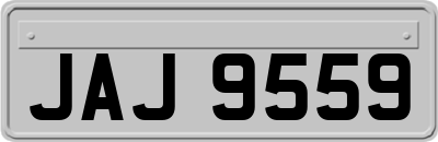 JAJ9559