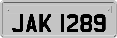 JAK1289