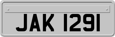 JAK1291