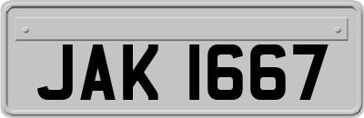 JAK1667