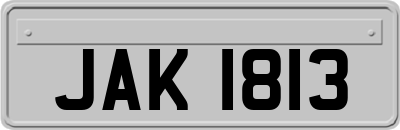 JAK1813