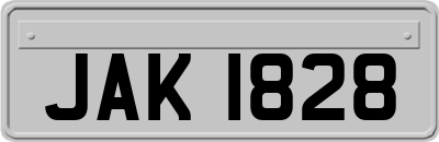 JAK1828