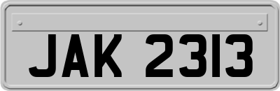 JAK2313