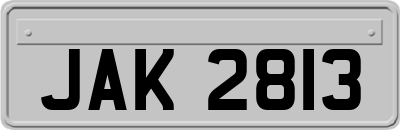 JAK2813