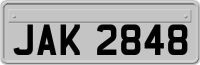 JAK2848