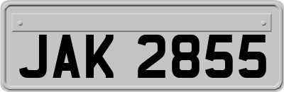 JAK2855