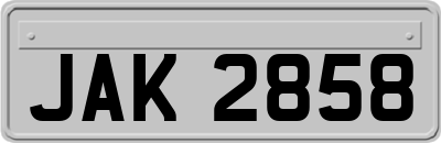 JAK2858