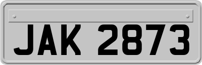 JAK2873