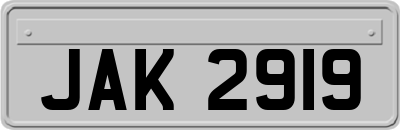JAK2919