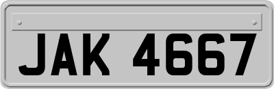 JAK4667