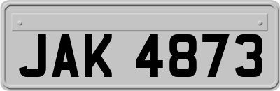 JAK4873