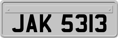 JAK5313