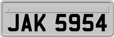 JAK5954