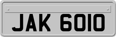 JAK6010