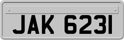 JAK6231