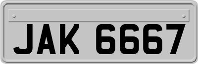 JAK6667