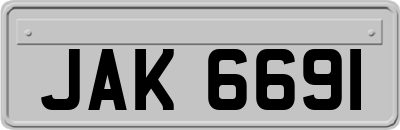 JAK6691