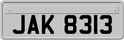 JAK8313