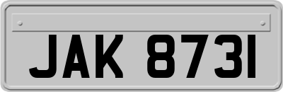 JAK8731