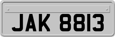 JAK8813
