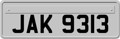 JAK9313