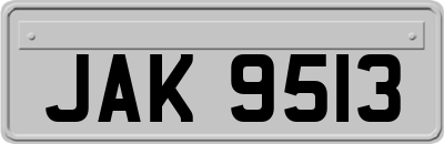 JAK9513
