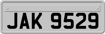 JAK9529
