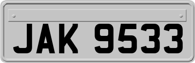 JAK9533