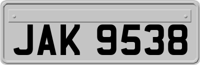 JAK9538